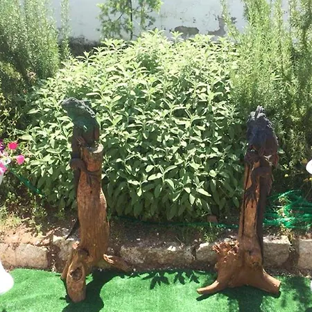 Ξενοδοχείο Palladium Monastir