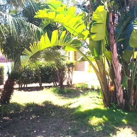 Ξενοδοχείο Palladium