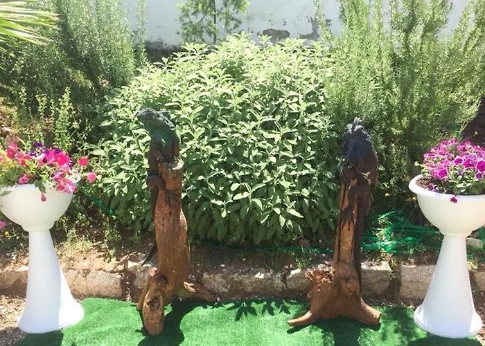 Hotel Palladium Monastir